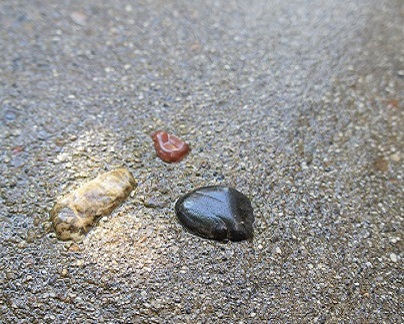 造園 住宅の庭 外構の青山造園